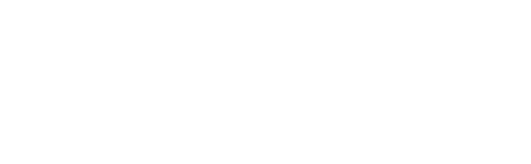PETZY Logo